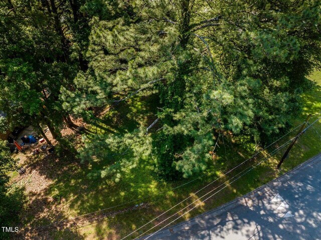 1614 Greenbriar Rd, Durham, NC 27701 - photo 21