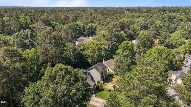 203 Kronos Ln, Cary, NC 27513 - photo 38