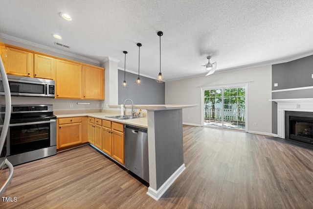 1003 Crimson Dr, Durham, NC 27713 - kitchen featuring appliances with stainless steel finishes, open floor plan, a sink, a peninsula, and wood finished floors