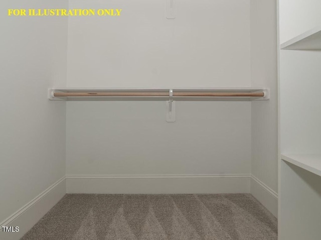 spacious closet featuring carpet flooring