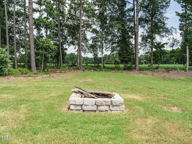 187 E Clydes Point Way, Wendell, NC 27591 - photo 27