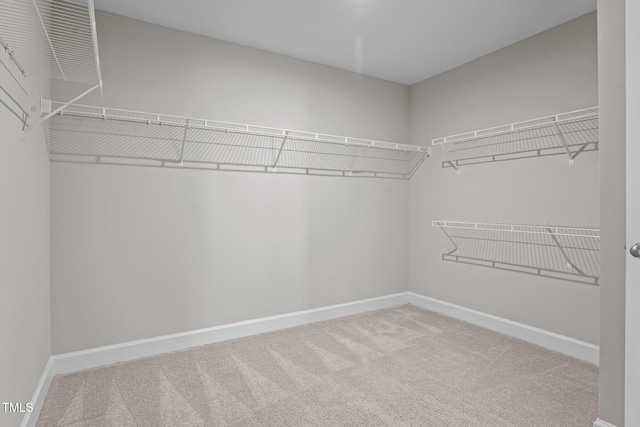 6624 Vestal St, Wake Forest, NC 27587 - walk in closet with carpet flooring