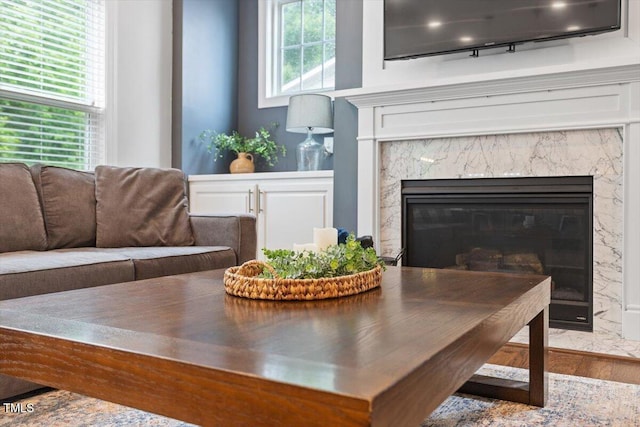 213 Preatonwood Dr, Apex, NC 27539 - detailed view of a high end fireplace
