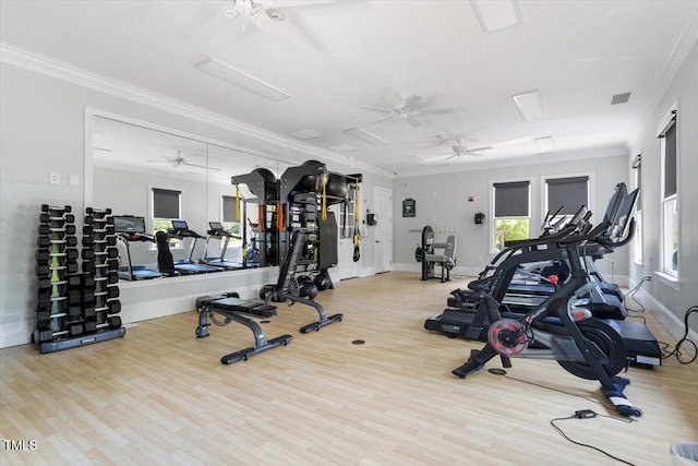 213 Preatonwood Dr, Apex, NC 27539 - gym with crown molding, wood finished floors, a ceiling fan, and baseboards