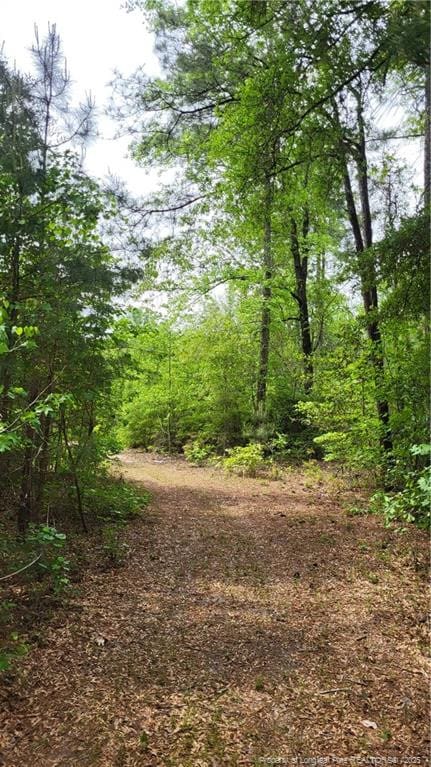 00 John B Carter Rd, Fayetteville, NC 28312 - view of tree filled area