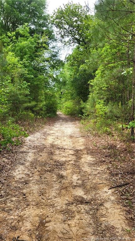 00 John B Carter Rd, Fayetteville, NC 28312 - view of road featuring a view of trees