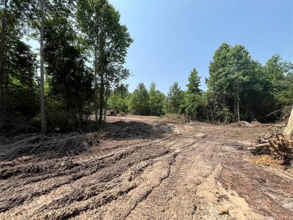 00 John B Carter Rd, Fayetteville, NC 28312 - photo 3