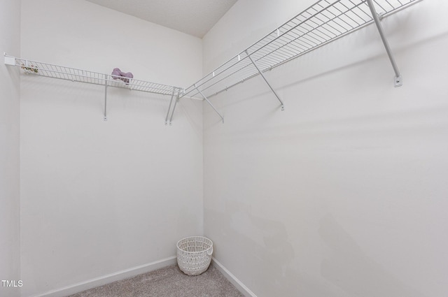 109 Troyer Pl, Apex, NC 27502 - spacious closet with carpet flooring