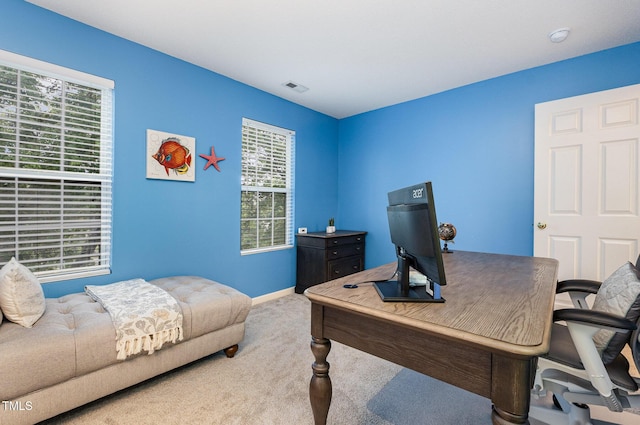 109 Troyer Pl, Apex, NC 27502 - carpeted home office with plenty of natural light and baseboards