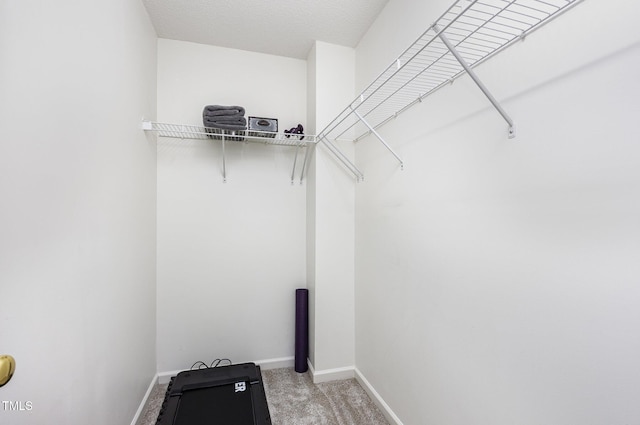 109 Troyer Pl, Apex, NC 27502 - spacious closet with light carpet