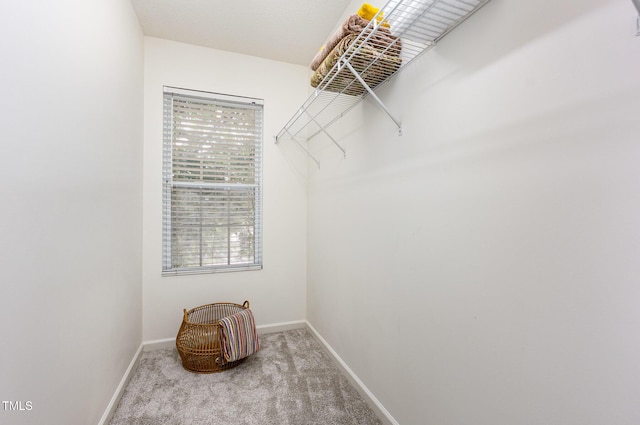 109 Troyer Pl, Apex, NC 27502 - spacious closet with carpet