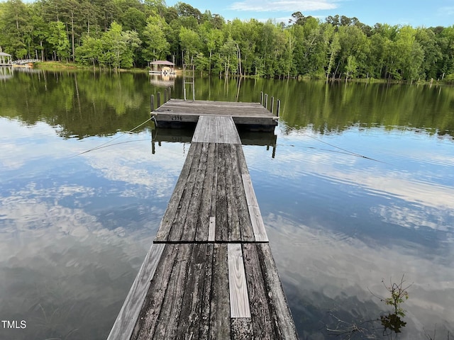 358 Pool Rock Shores Ln, Henderson, NC 27537 - dock area featuring a water view and a view of trees