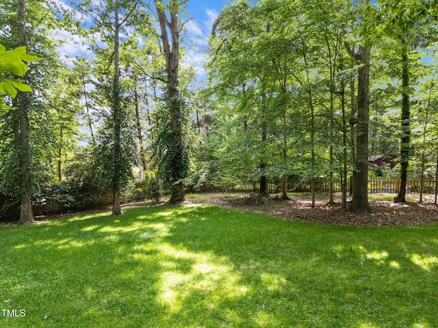 2840 Mattlyn Ct, Raleigh, NC 27613 - view of yard