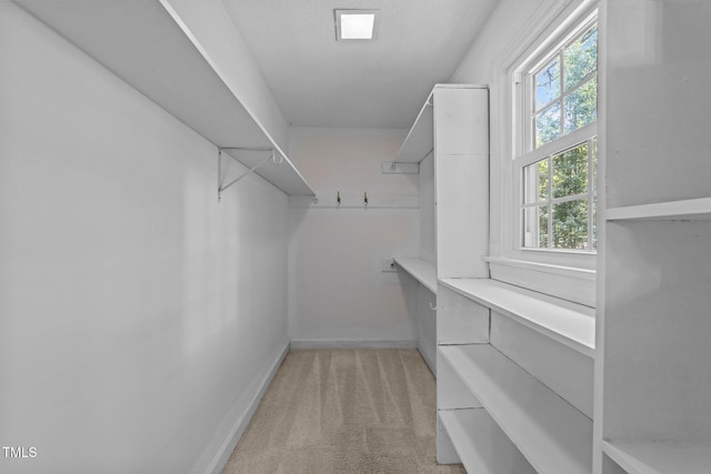 2840 Mattlyn Ct, Raleigh, NC 27613 - walk in closet with light colored carpet