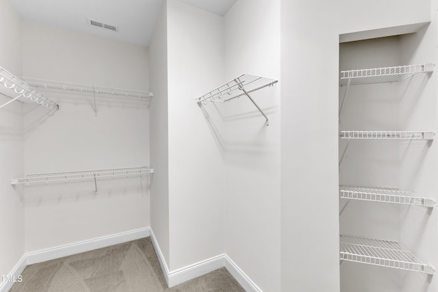 9211 Calabria Dr Unit 104, Raleigh, NC 27617 - walk in closet with carpet flooring