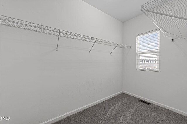 1151 Epiphany Rd, Morrisville, NC 27560 - walk in closet with dark carpet