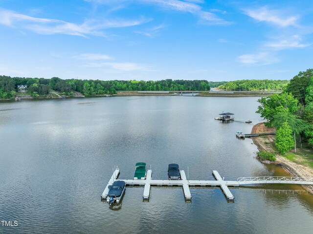 13 Lawsons Dr, Clarksville, VA 23927 - photo 9