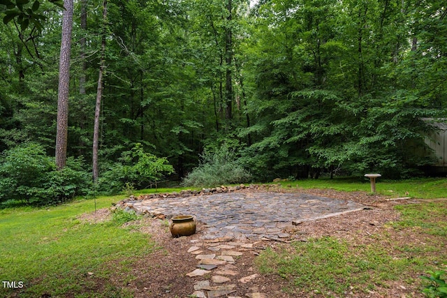 106 Redbud, Pittsboro, NC 27312 - view of yard with a patio