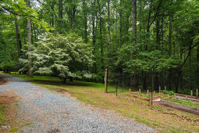 106 Redbud, Pittsboro, NC 27312 - view of street with a wooded view