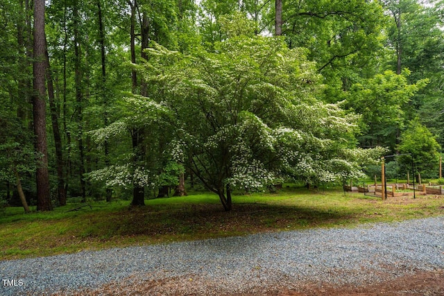 106 Redbud, Pittsboro, NC 27312 - view of street featuring a wooded view