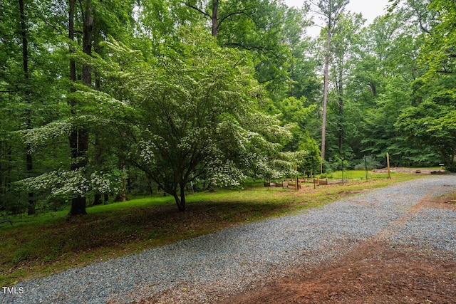 106 Redbud, Pittsboro, NC 27312 - view of street with a forest view