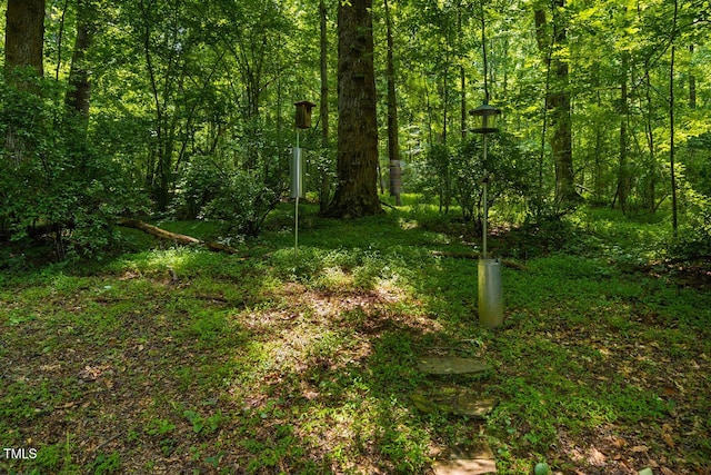 106 Redbud, Pittsboro, NC 27312 - view of woods