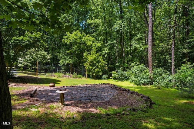 106 Redbud, Pittsboro, NC 27312 - view of grassy yard featuring a forest view