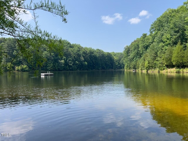 106 Redbud, Pittsboro, NC 27312 - water view featuring a forest