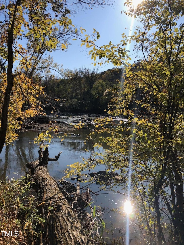106 Redbud, Pittsboro, NC 27312 - water view with a forest