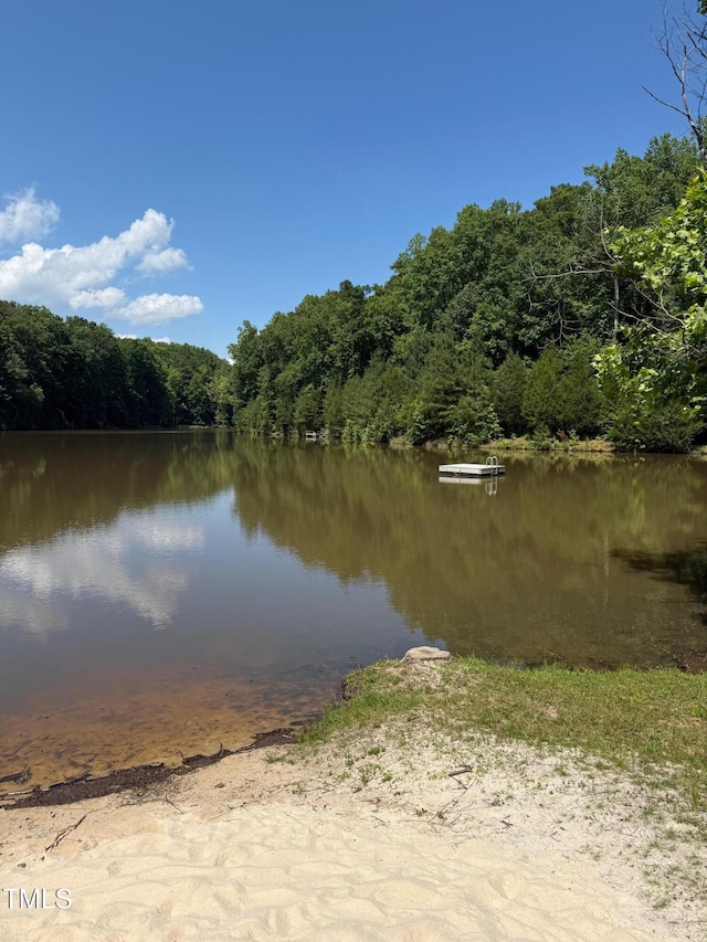 106 Redbud, Pittsboro, NC 27312 - water view featuring a forest