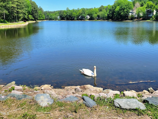 107 Long Shadow Ln, Cary, NC 27518 - water view