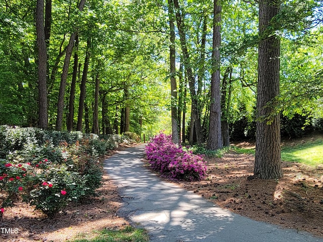 107 Long Shadow Ln, Cary, NC 27518 - view of community featuring asphalt driveway and a view of trees