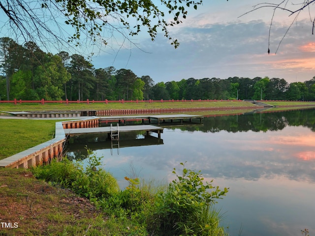 107 Long Shadow Ln, Cary, NC 27518 - dock area with a water view and a view of trees