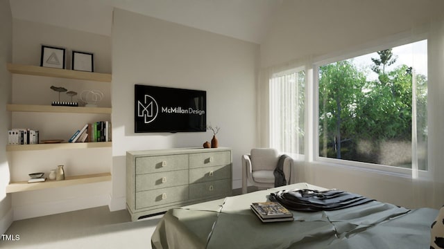 1806 Pershing Rd, Raleigh, NC 27608 - bedroom with vaulted ceiling