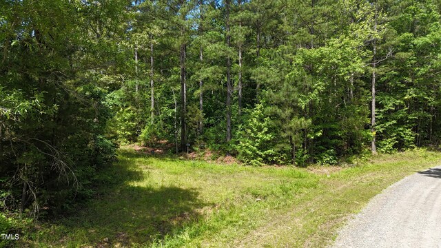 682 Wolf Pit Rd, Oxford, NC 27565 - photo 4