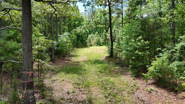 682 Wolf Pit Rd, Oxford, NC 27565 - photo 6