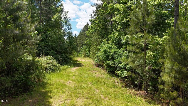 682 Wolf Pit Rd, Oxford, NC 27565 - photo 7