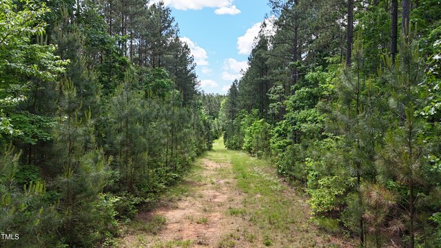 682 Wolf Pit Rd, Oxford, NC 27565 - photo 8