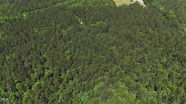 682 Wolf Pit Rd, Oxford, NC 27565 - photo 12