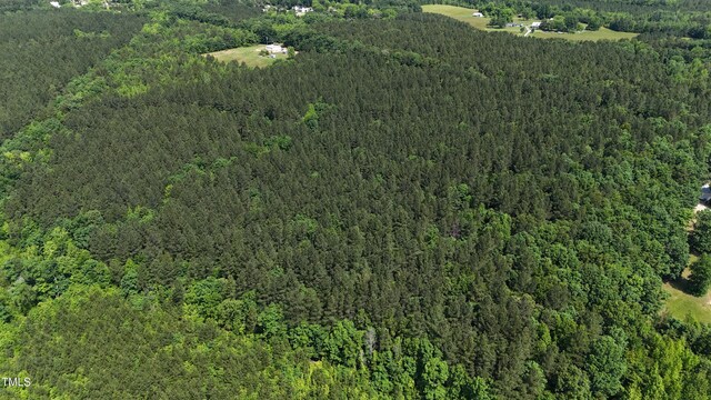 682 Wolf Pit Rd, Oxford, NC 27565 - photo 13
