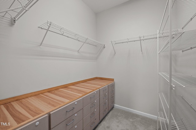 256 Rubrum Dr, Hillsborough, NC 27278 - walk in closet featuring light colored carpet