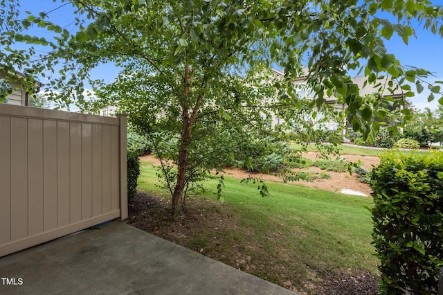 256 Rubrum Dr, Hillsborough, NC 27278 - view of yard