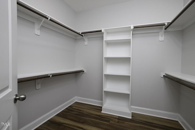 spacious closet with dark wood-type flooring
