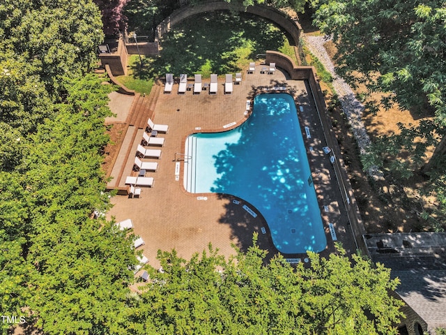 bird's eye view of a pool