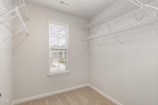 1230 Adrian Ct, Mebane, NC 27302 - walk in closet featuring carpet flooring