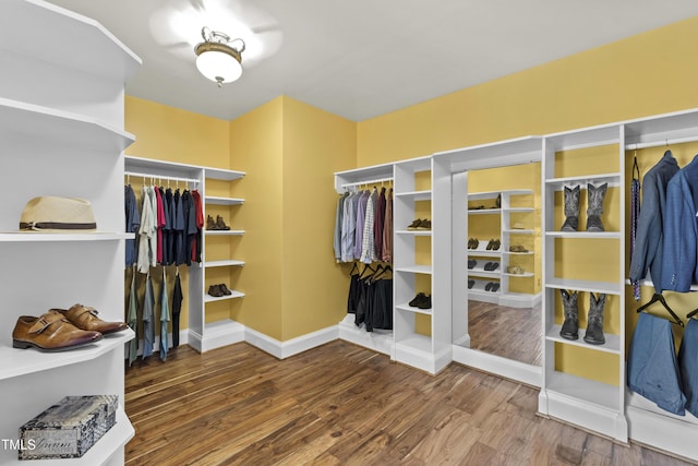 1329 Wynncrest Ct, Raleigh, NC 27603 - walk in closet featuring wood finished floors