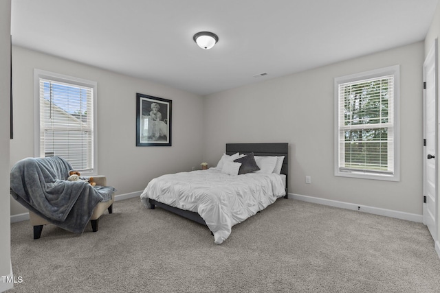 351 Lowery Ln, Benson, NC 27504 - photo 31
