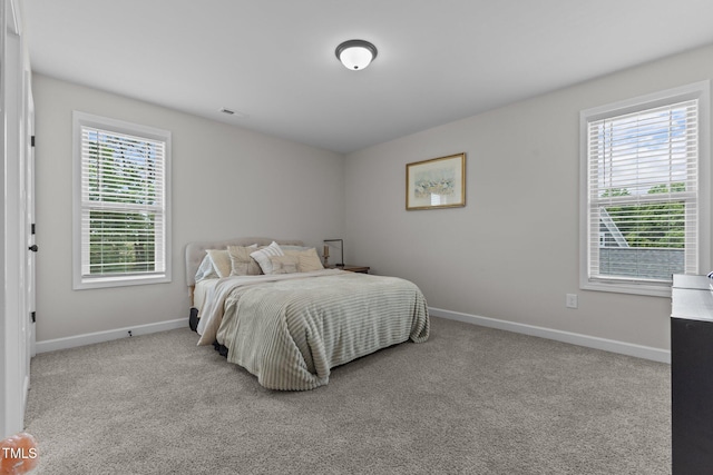 351 Lowery Ln, Benson, NC 27504 - photo 36
