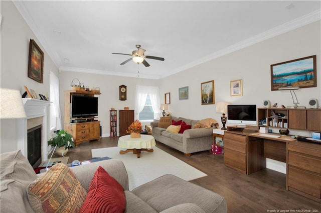 3821 Shire St, Hope Mills, NC 28348 - living area with dark wood-style flooring, a ceiling fan, ornamental molding, a glass covered fireplace, and an office area