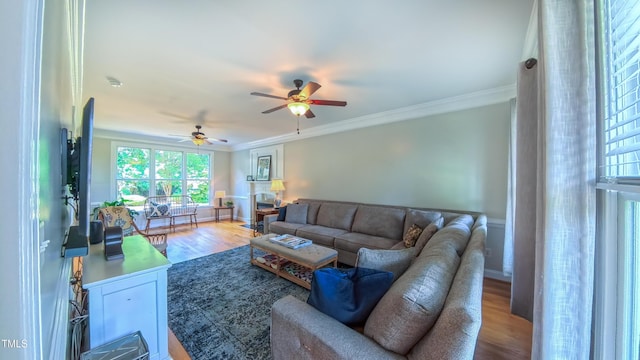 8042 Hogan Dr, Wake Forest, NC 27587 - living room featuring ornamental molding, wood finished floors, healthy amount of natural light, and a ceiling fan